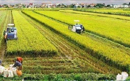 Để kinh tế nông nghiệp tiếp tục là trụ cột