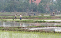 Vụ Đông Xuân không còn nỗi lo thiếu nước