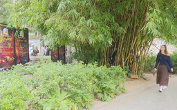 Việt Nam được bình chọn là điểm đến 'rẻ nhất thế giới'