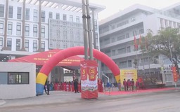 Xuân về trên những ngôi trường mới