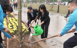 Phường Cầu Giấy phát động lễ trồng cây Xuân Bính Ngọ