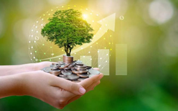 Tài chính xanh dẫn dắt tăng trưởng bền vững