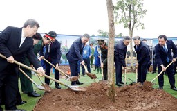 'Tết trồng cây' góp phần xây dựng Thủ đô xanh, sạch, đẹp