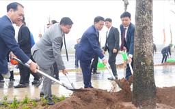 Xã Đông Anh hưởng ứng Tết trồng cây