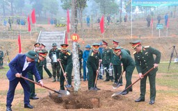 Tết trồng cây tại Trung đoàn 692 thuộc Sư đoàn 301