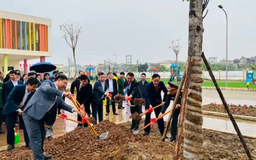 Khương Đình phát động Tết trồng cây vào sáng nay