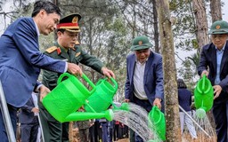 Năm 2026, Đoài Phương phấn đấu trồng 5.000 cây xanh các loại