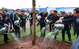 Lễ phát động Tết trồng cây Xuân Bính Ngọ 2026