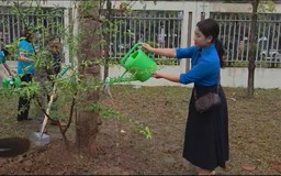 Phường Hà Đông trồng mới 2000 cây xanh trong năm mới
