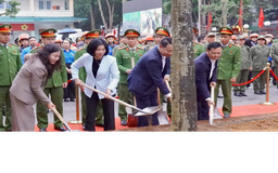 Phó Bí thư Thành ủy, Chủ tịch HĐND Thành phố trồng cây