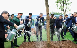 Trồng thêm một cây là gửi thêm một niềm tin vào tương lai