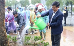 Tây Hồ phát động Tết trồng cây Xuân Bính Ngọ 2026