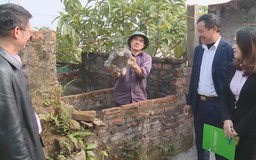 Tín dụng chính sách giữ nhịp sản xuất đầu năm
