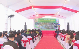 Xã Vĩnh Thanh phát động Tết trồng cây Xuân Bính Ngọ