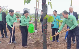 Hội Nông dân thành phố Hà Nội phát động Tết trồng cây