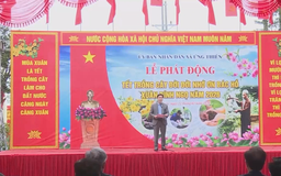 Xã Ứng Thiên phấn đấu trồng 2.500 cây xanh trong năm 2026