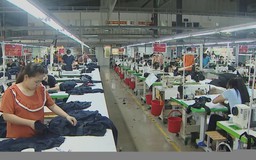 Hà Nội: Hơn 96% lao động trở lại làm việc sau Tết