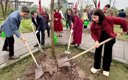 Xã Vân Đình phát động Tết trồng cây năm 2026