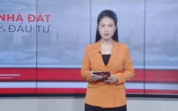Bản tin Nhà đất và đầu tư | 25/02/2026