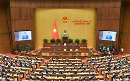 Tăng số lượng đại biểu chuyên trách