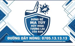 Hotline tiếp nhận tin báo, tố giác tội phạm về ma túy