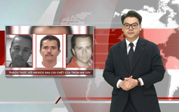 Thách thức với Mexico sau cái chết của trùm ma tuý | Nhìn ra thế giới | 26/02/2026