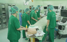 Lần đầu Việt Nam ghép 8 tạng từ người hiến chết não