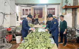 Khởi tố chủ cơ sở dùng hàn the sản xuất giò, chả