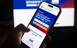 Việt Nam lần đầu đấu giá 50 tên miền '.vn' hai ký tự