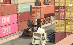 Doanh nghiệp thích ứng để giữ đà xuất khẩu
