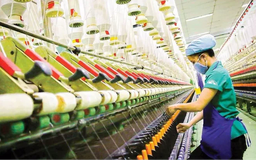 Doanh nghiệp kỳ vọng bứt phá trong năm 2026