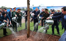 Trồng cây - bước đi căn bản trong hành trình chuyển đổi xanh | Chuyển đổi xanh | 28/02/2026