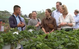 Nông nghiệp du lịch | Chuyển đổi xanh | 24/02/2026