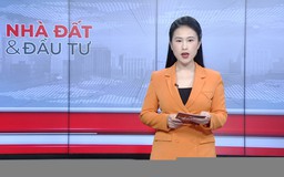 Bản tin Nhà đất và đầu tư | 04/02/2026