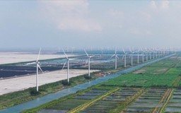 Trung Quốc phản đối EU điều tra doanh nghiệp điện gió