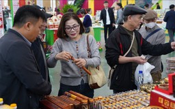 Hội chợ Mùa Xuân 2026 thu hút khách tham quan