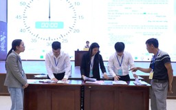 Đấu giá đất công ích tại Vân Đình đạt gần 300% so với giá khởi điểm