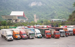Đẩy nhanh thông quan thực phẩm sau tạm dừng Nghị định 46