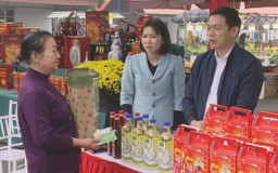 Lan tỏa yêu thương tại Hội chợ hoa xuân Hương Sơn