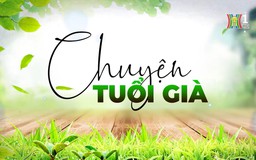 Tình bạn và những mối liên kết của người cao tuổi | Chuyện tuổi già | 08/02/2026