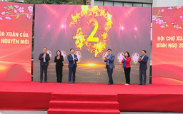 Ngày hội văn hóa - thể thao chào năm mới