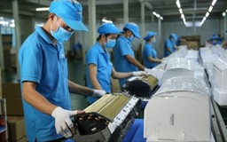 Gần 49.000 doanh nghiệp gia nhập thị trường trong tháng 1