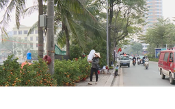 Phường Tây Hồ đảm bảo an toàn giao thông chợ hoa Tết
