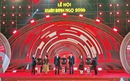 Tái hiện sinh động Tết truyền thống tại Lễ hội Xuân Bính Ngọ