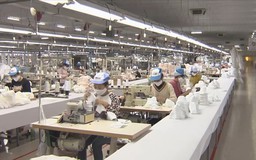 Nhập khẩu tăng gần 50% trong tháng 1