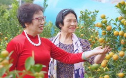 Chợ hoa xuân Tây Hồ giữ hồn Tết Hà Nội