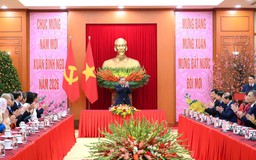 Tổng Bí thư gặp mặt Đoàn kiều bào tiêu biểu