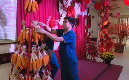 Sắc xuân trong các cơ sở y tế
