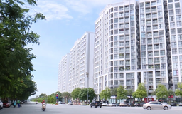 Bất động sản giữ sức hút đầu tư trong năm 2026