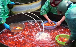 Chợ cá Yên Sở hối hả trước ngày ông Công ông Táo